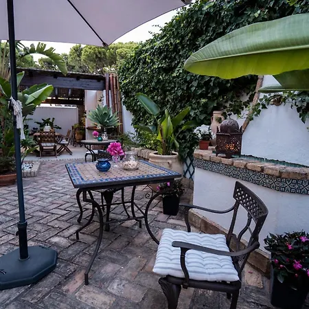 Azalea Playa מלון