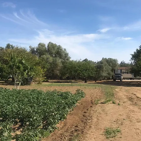 The Farm Tiny House - Tiny Casa