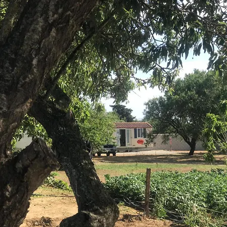Village de vacances The Farm Tiny House - Tiny Casa Chiclana de la Frontera